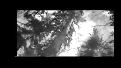 Wild Eastern Arches _ Line of Simian