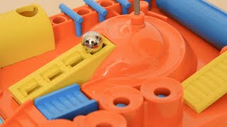 ［Screwball Scramble］Maratón