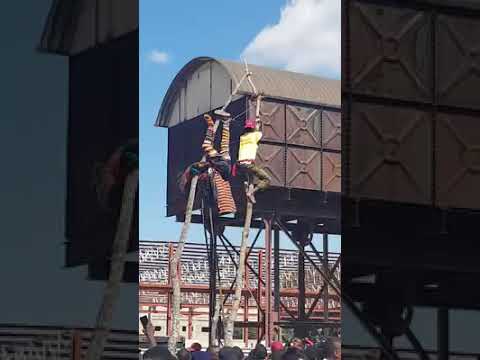 Likishi Is Stuck On The MUCHAPA Upside Down