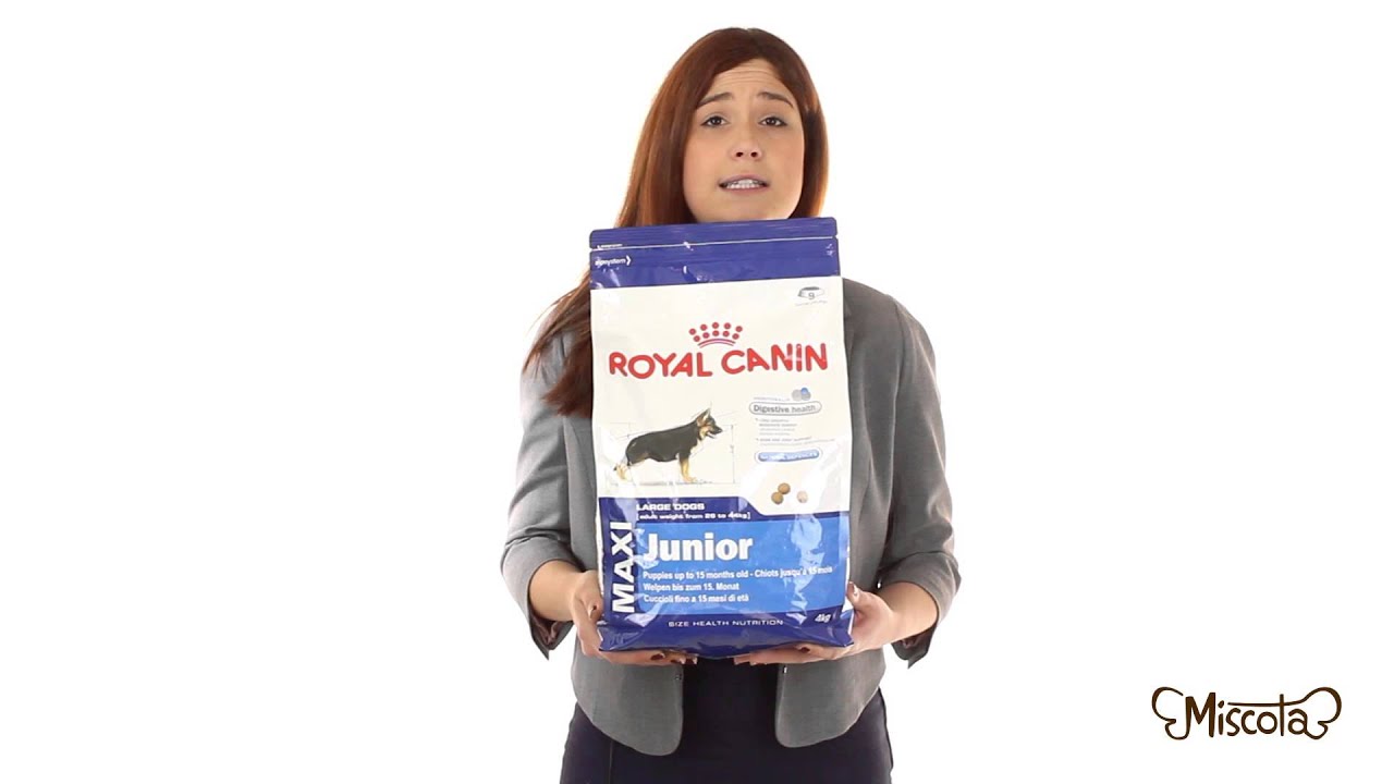 miscota royal canin