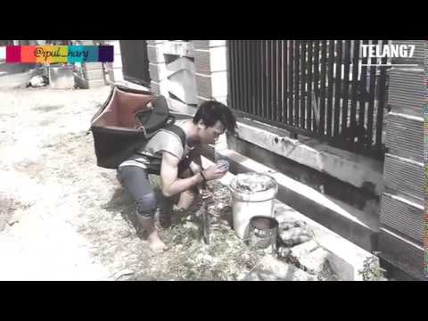 TERROR KUYANG  Doovi