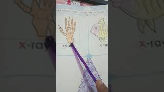X for Xmas tree  #shorts #youtubeshortsvideo #educational channel#cbsc board