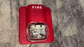 System Sensor SpectrAlert Classic S241575 Fire Alarm Strobe Test
