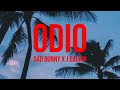 Bad Bunny - ODIO (letra/lyrics)