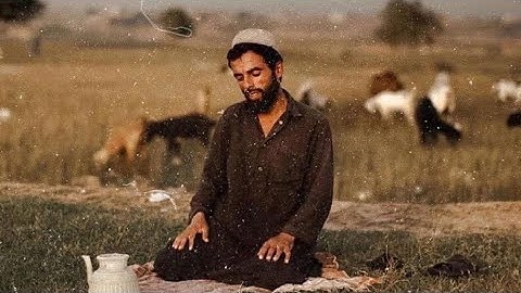  سورة المائدة الاية 93-95 #قران_كريم #راحة_نفسية 
