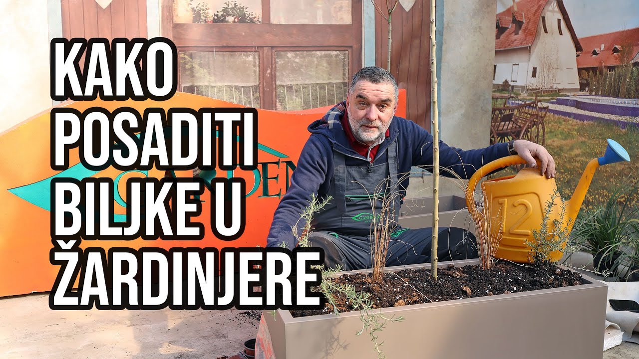 Kako posaditi biljke u žardinjere