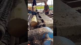 Factory 🏭 Work#relaxing #foryou #shorts#machinery #tooltips #satisfying #machine