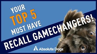 Top 5 Must Have RECALL Gamechangers!