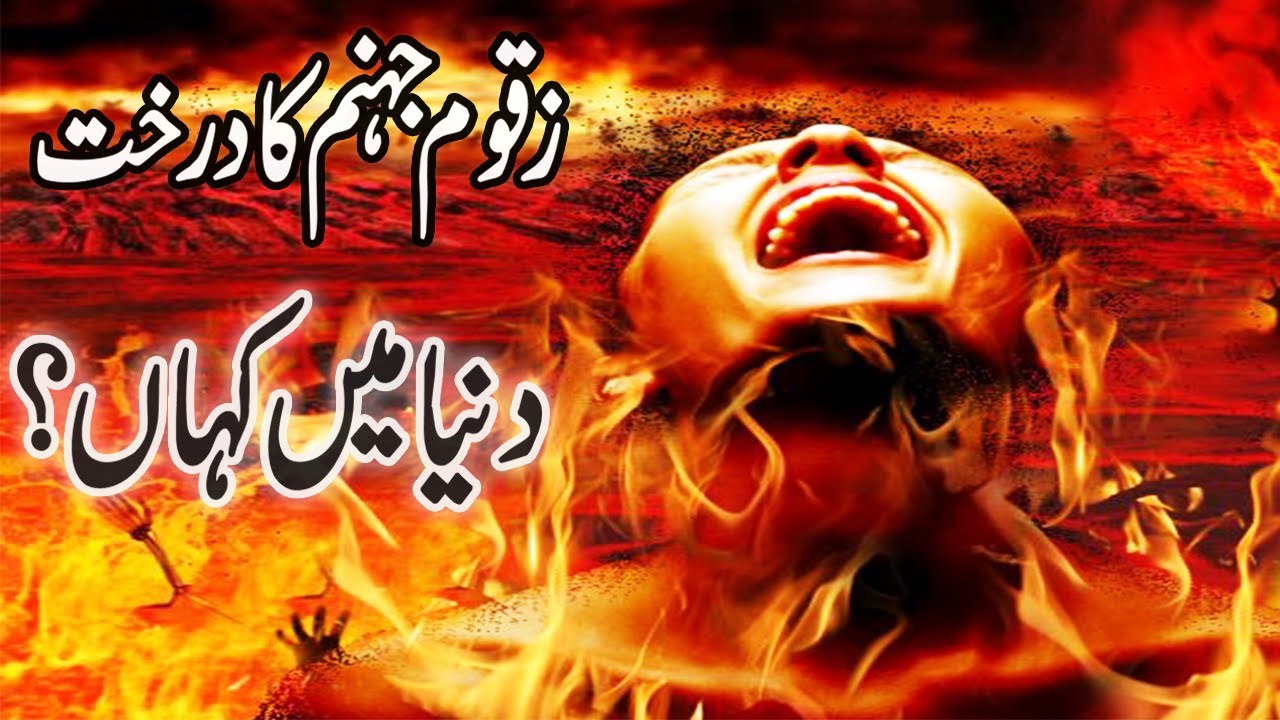 Reality Of Zaqqum Tree زقوم کے در خت کی حقیقت Fruit Of Hell