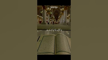سورة ابراهيم من القارئ فارس عباد 🤍 #قران_كريم #اكسبلور #المصحف #quran