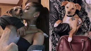 Ariana Grande's Dog is a Coach Model?