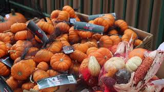 Changes to CPP's Pumpkin Festival 2020
