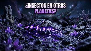 ¿Existen INSECTOS en otros planetas? El Enigma de TRAPPIST-1e | Beyond Earth Chronicles