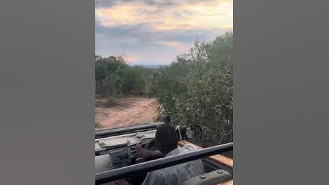 Elephant: King Of The Kalahari