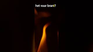 Dutch Verbs app for iOS preview screenshot 4