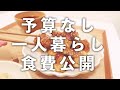 【一人暮らしの生活費:食費編】食べたいものは食べてゆる節約/半年分初公開(素麺、茄子の揚げ浸し、いわしの丸干し、甘辛チキン自炊vlog)