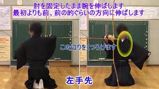 全日本弓道連盟の審査における肌脱ぎ所作（礼射系三ッ弽）