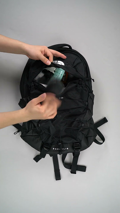The North Face Everyday Backpack