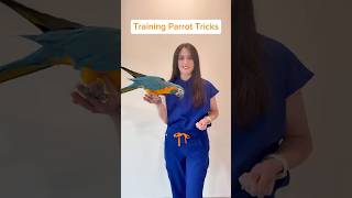Dr. Rachel Siu Exotic Pet Vet: Showing off her macaw’s tricks!