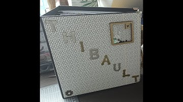 Scrap - Album Thibault