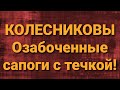 Семья Колесниковых/Новости из Дворца.