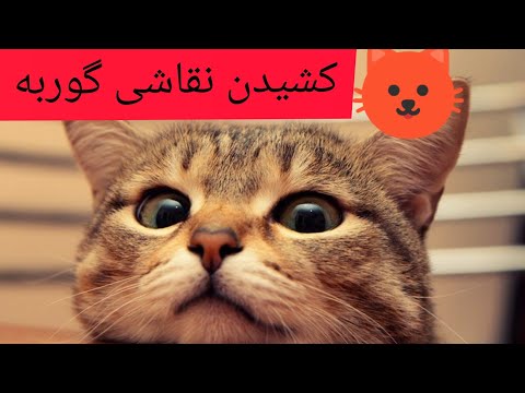 تصویری: نحوه کشیدن گربه با مداد