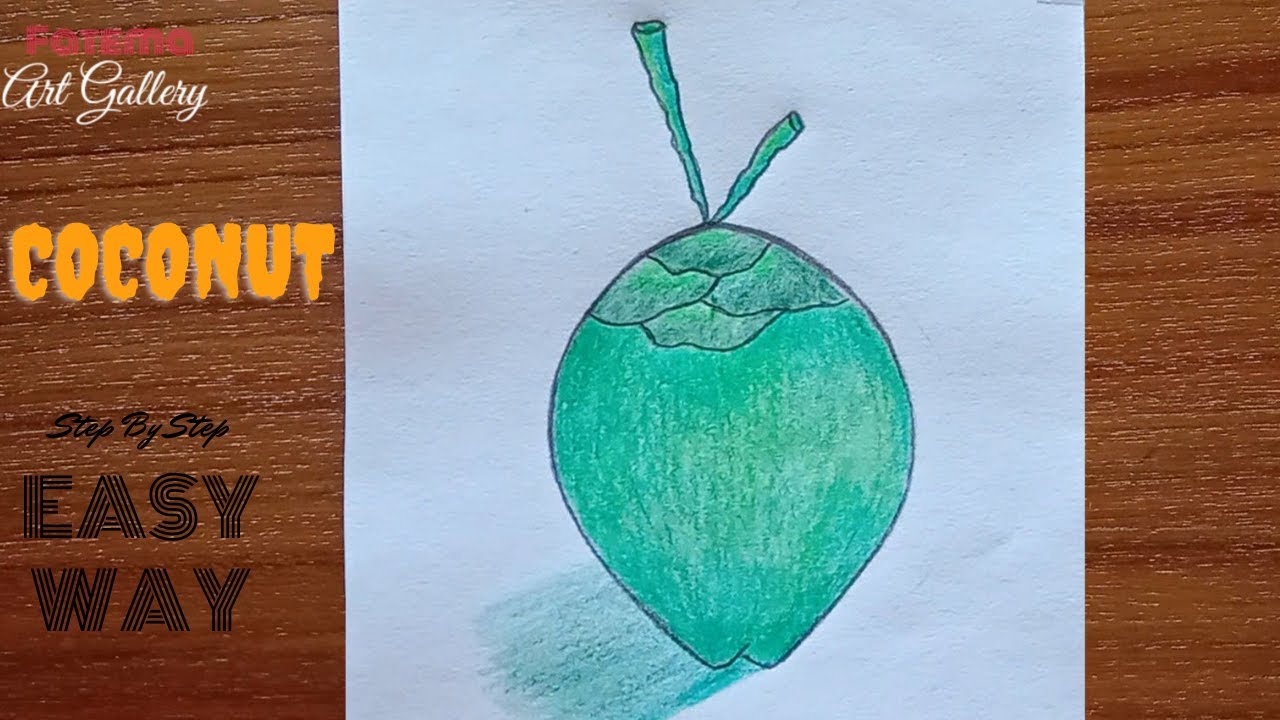 Easy Coconut Drawing || How to Draw a Coconut Step By Step || Pencil ...