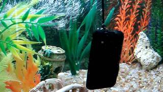 Motorola Defy Em Teste Submerso...