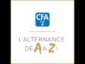 Pisode 5  la recherche dentreprise avec le cfa igs