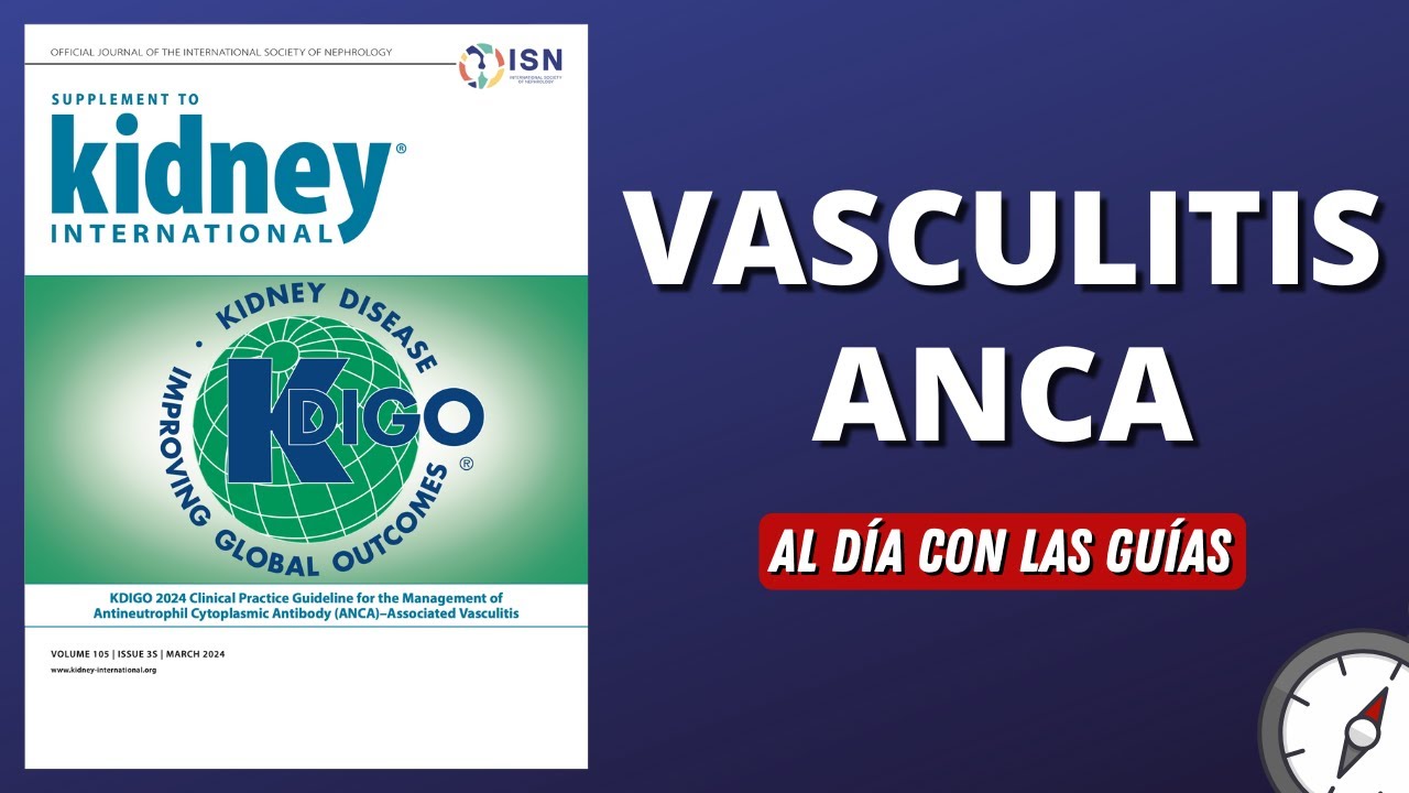 Vasculitis ANCA | KIDGO 2024 #AlDíaConLasGuías