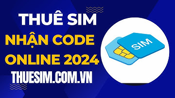 Hướng Dẫn Thuê Sim Nhận Mã Code OTP - Web Thuê Sim Lấy Mã Xác Minh Online 2024 - An toàn - Uy Tín