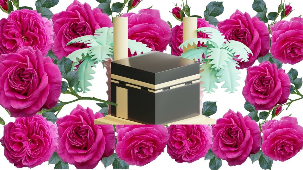 Dar -e - Nabi (S.A.W) / Most Beautiful Islamic Naat