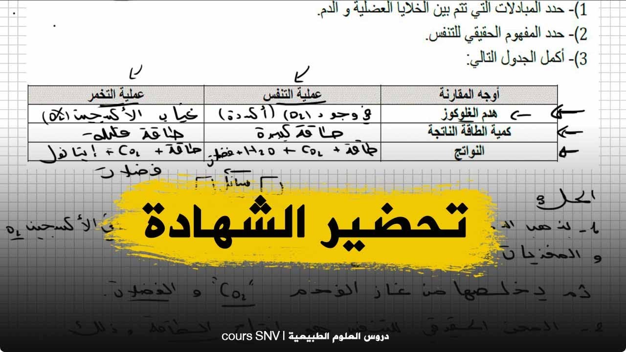 تمرين مطلوب بكثرة لتحضير البيام علوم طبيعية للسنة الرابعة متوسط