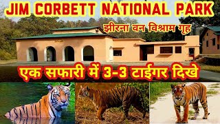 एक सफारी में 3-3 टाईगर दिखे | Jim Corbett | Jhirna Forest Rest House |#jhirnazone #jimcorbett Ep-2