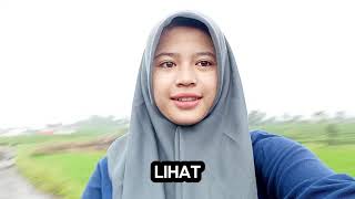 Jalan-Jalan Di Kampung Sindanglaya, Tumbuhannya Pada Subur