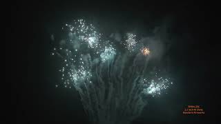 F3 CE Certified 1.2'' 49s Fan Shape Cake Fireworks CE Pyrotechnics with Customizable Effects