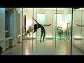 Linartistry - Poledance Freestyle "Dusk Till Dawn"