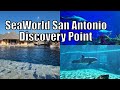 Seaworld san antonio discovery point tour