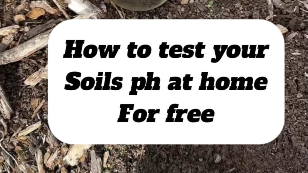 How to test your soil’s PH at home for free - YouTube