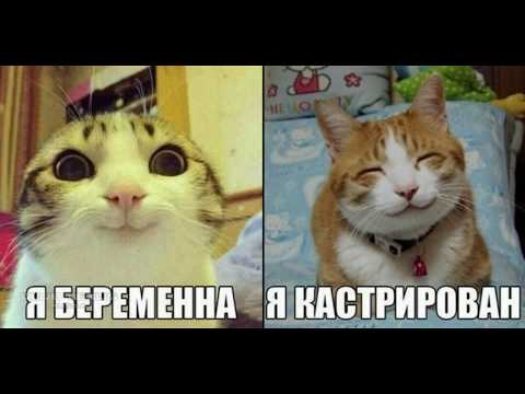 НЕОБЫЧНЫЕ ФОТО СЛАЙД ВИДЕО ПРИКОЛЫ 2019 ПРИКОЛЫ слайд-шоу