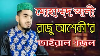 মিলাদুন্নবীর নতুন গজল।Bangla New Gojol।কন্ঠ মোহাম্মদ আলী রাজু