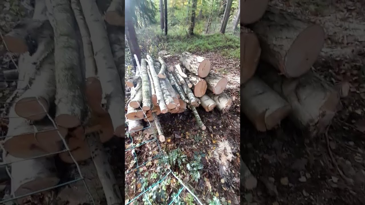 my first stock sale in the foresgarden 