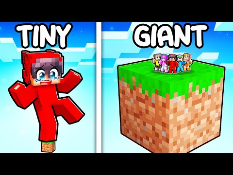 One GIANT Block vs One TINY Block in Minecraft!