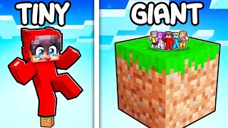 Video thumbnail of "One GIANT Block vs One TINY Block in Minecraft!"