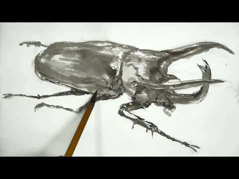 墨と筆のイラスト　ネプチューン・オオカブトの描き方　　How to draw  a Neptunus Beetle in sumi ink.