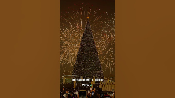 Yerevan Christmas Tree Lighting 2025! #yerevan #armenia #christmas #christmas2025