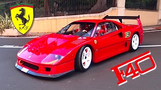Carspotting Panic! HE DRIVES AN F40 LM IN MONACO !
