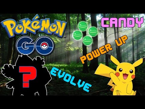 Pokemon GO Thailand : ข้อมูลการ POWER UP EVOLVE และ การหา CANDY ของเหล่าโปเกม่อน