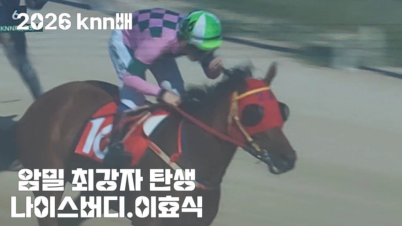 삼쌍승식 3969.2배 꽝 터졌다(역쉬나 대상경주는 하늘이 주시는 선물)