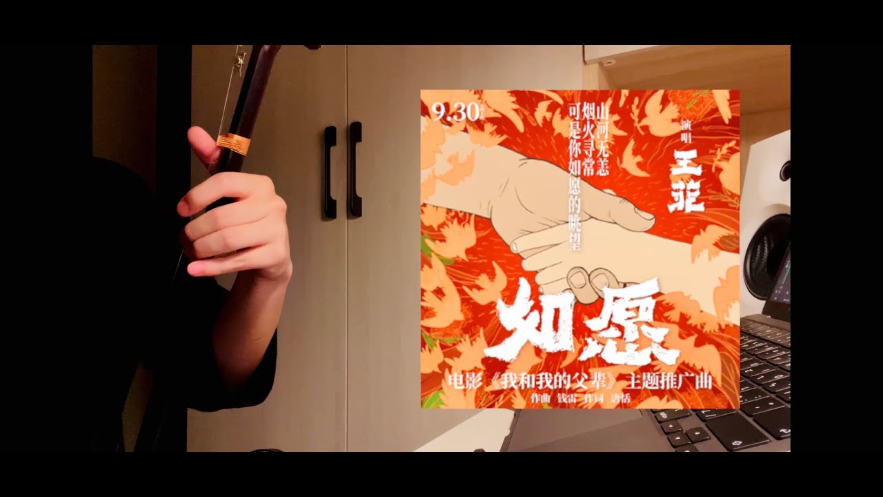 《如願》《As you wish》（我和我的父輩電影主題曲 ） - 王菲 Fayewong 二胡演奏 by 哈哈二胡 Erhu cover by Hahaerhu